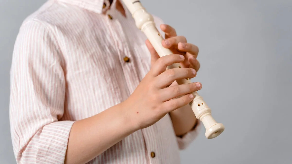 Treble Recorder: A Complete Buyer's Guide
