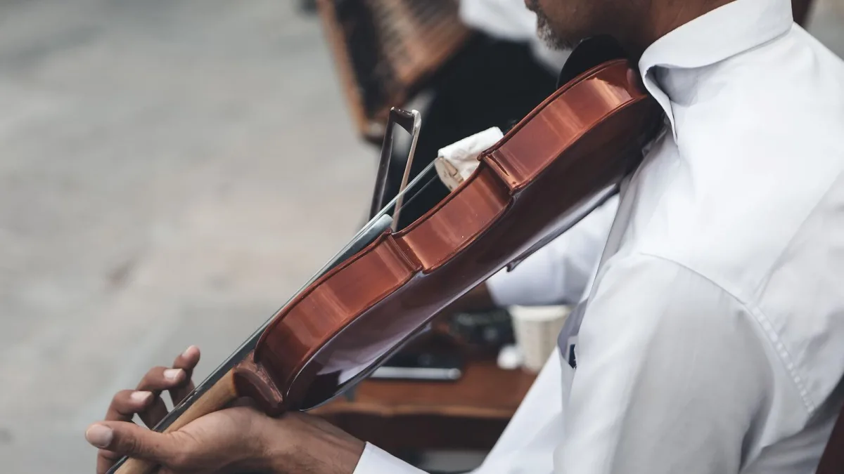 Violin Stand for Beginners: A Complete Guide